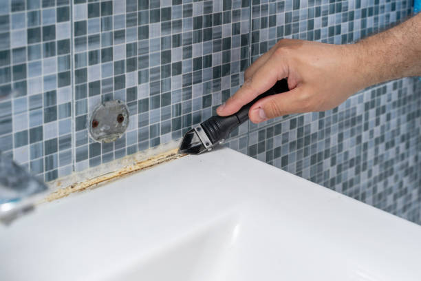 Best Bathroom Mold Remediation in Grayslake, IL