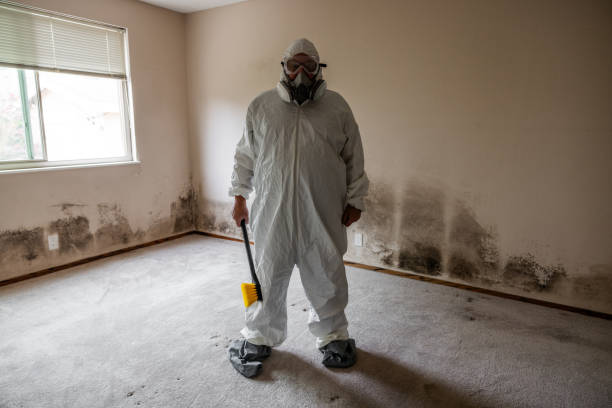 Best Mold Testing and Inspection Services in Grayslake, IL